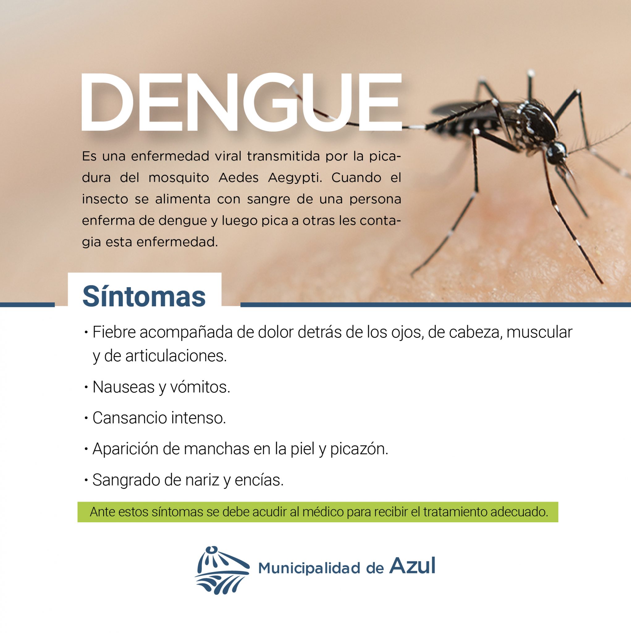 Medidas Preventivas Contra El Dengue – Municipio De Azul